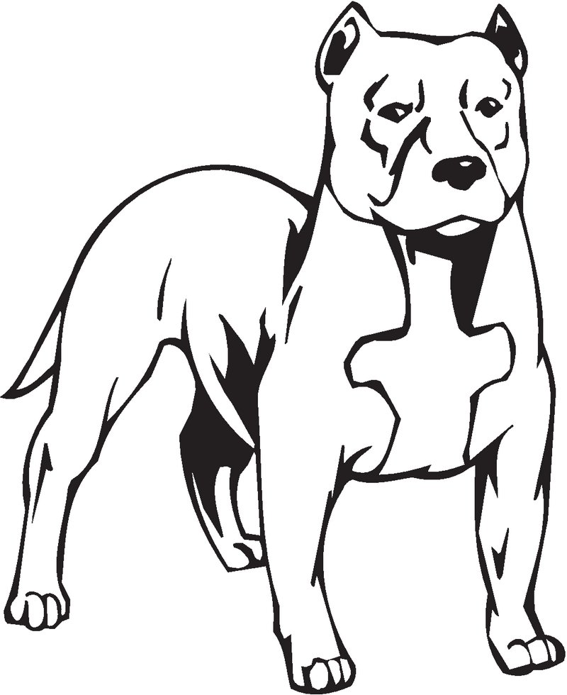 Staffordshire Bull Terrier Dog Sticker