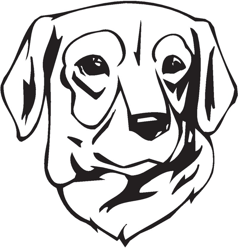 Stephens Cur Dog Sticker