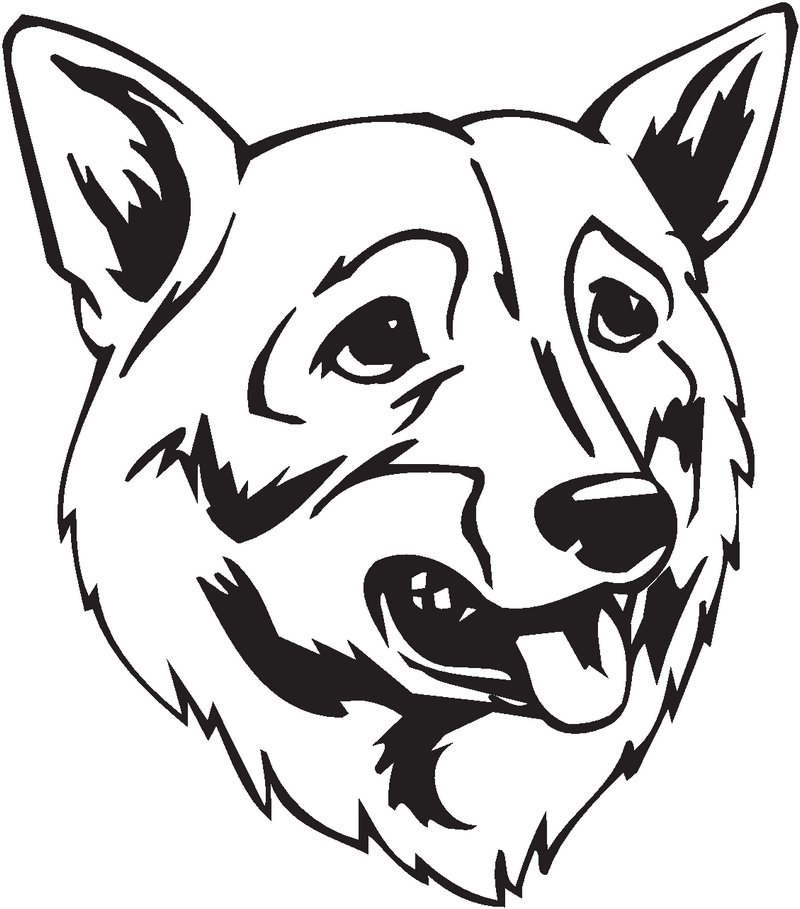 Swedish Vallhund Dog Sticker