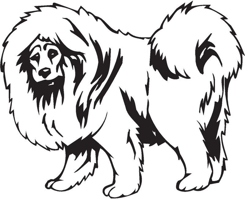 Tibetan Mastiff Dog Sticker
