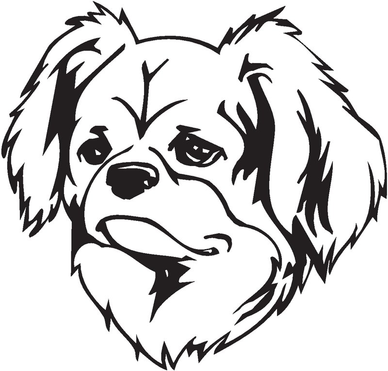 Tibetan Spaniel Dog Sticker