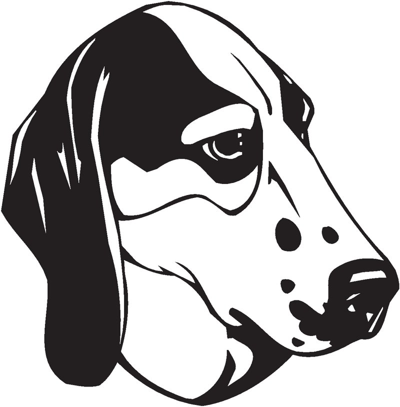 Treeing Walker Coonhound Dog Sticker
