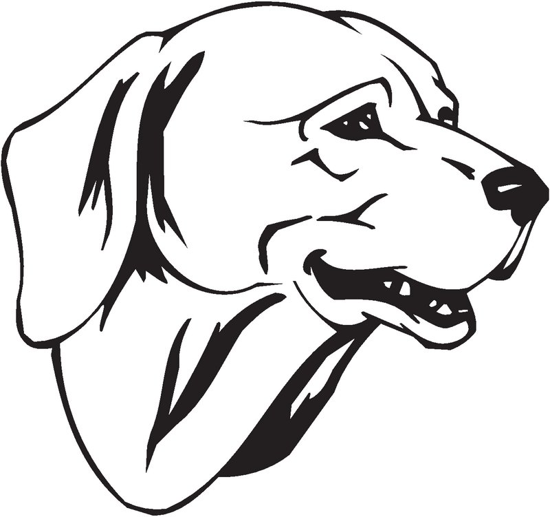 Westphalian Dachsbracke Dog Sticker