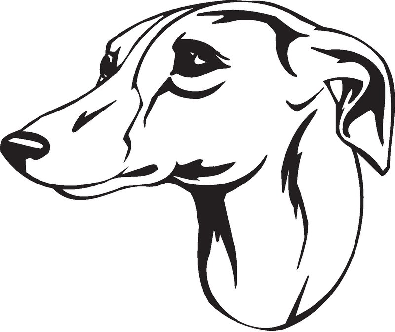 Whippet Dog Sticker