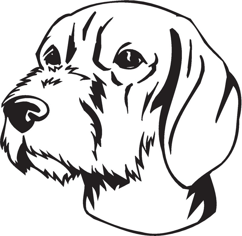 Wirehared Vizsla Dog Sticker