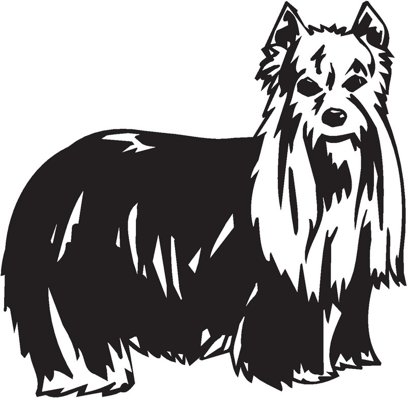 Yorkshire Terrier Dog Sticker