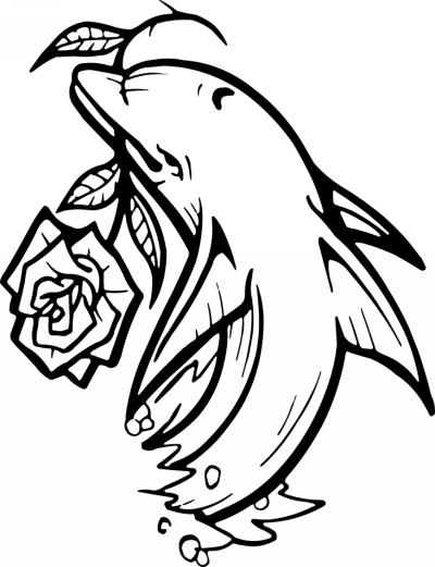 Dolphin Sticker 99