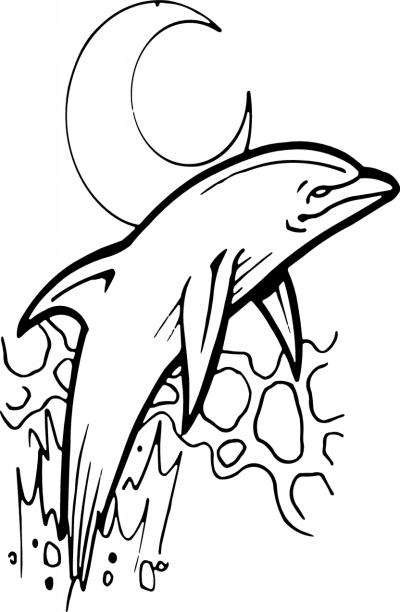 Dolphin Sticker 109