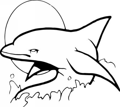 Dolphin Sticker 111