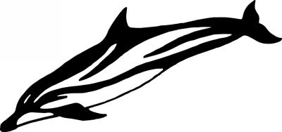 Dolphin Sticker 14