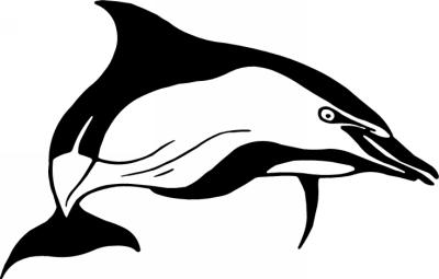Dolphin Sticker 169