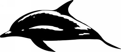 Dolphin Sticker 172
