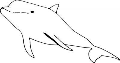 Dolphin Sticker 17