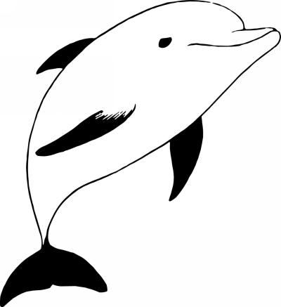 Dolphin Sticker 180