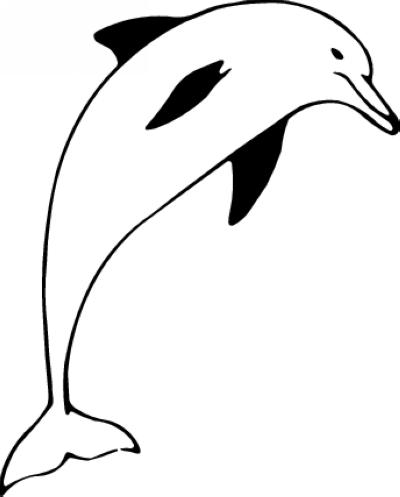 Dolphin Sticker 186