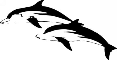 Dolphin Sticker 28