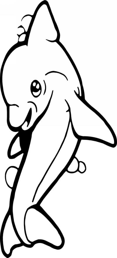Dolphin Sticker 317
