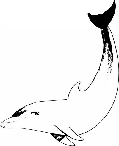 Dolphin Sticker 32