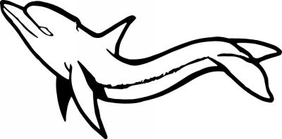 Dolphin Sticker 332