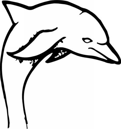 Dolphin Sticker 338
