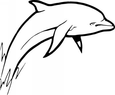 Dolphin Sticker 353