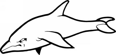 Dolphin Sticker 355
