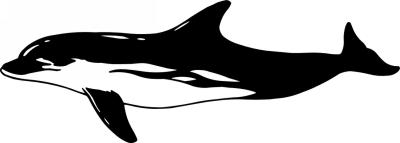 Dolphin Sticker 382