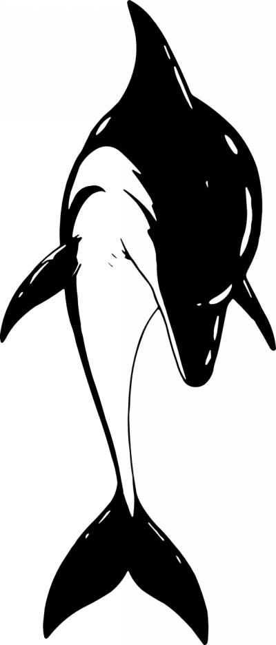 Dolphin Sticker 383