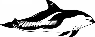 Dolphin Sticker 398