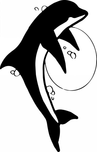 Dolphin Sticker 75