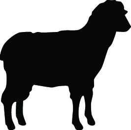 Sheep Sticker 4190