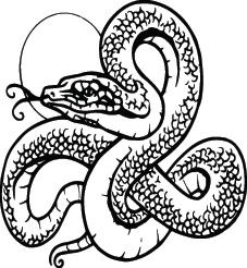 Snake Sticker 6