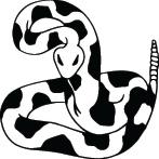 Snake Sticker 19