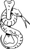 Snake Sticker 46