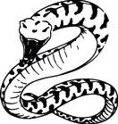 Snake Sticker 133