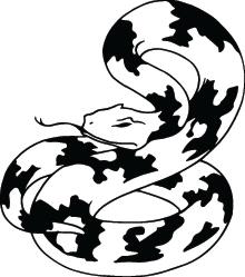 Snake Sticker 234