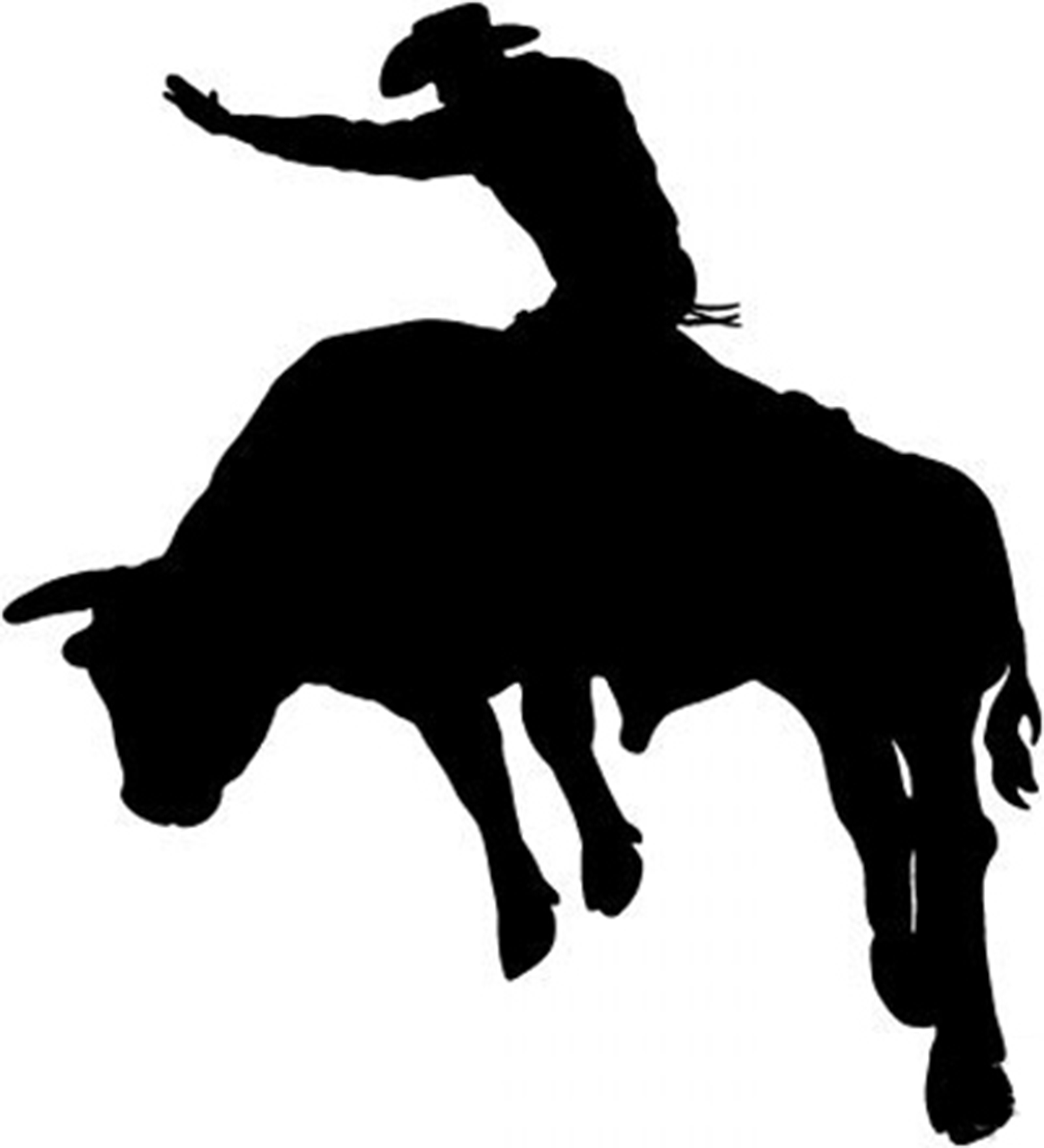 Bull Riding 17 Sticker