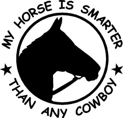 My Horse Is Smarter Than any Cowboy Sticker