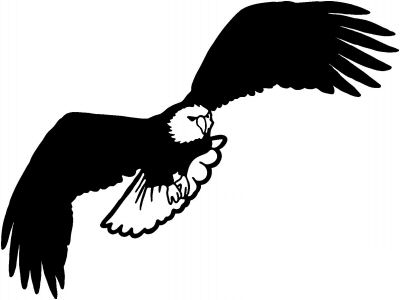 Eagle 13 Sticker
