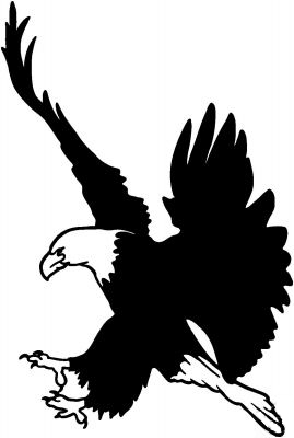 Eagle 17 Sticker