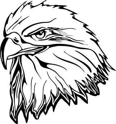 Eagle 19 Sticker