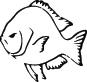 Fish Sticker 21