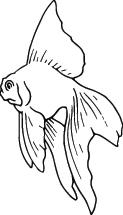 Fish Sticker 101