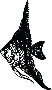 Fish Sticker 189