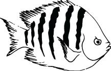 Fish Sticker 191