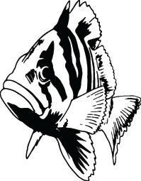 Fish Sticker 195