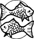Fish Sticker 228