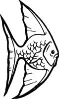 Fish Sticker 231