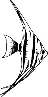 Fish Sticker 249