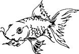 Fish Sticker 308